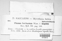 Phoma herbarum image